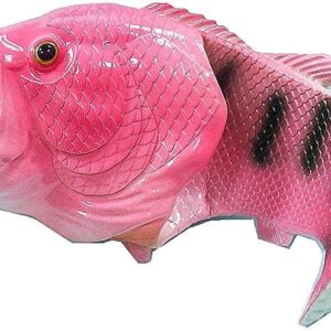 Unisex Fish Slippers, bass Sandals, Animal Slippers Animal Fish Slippers