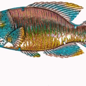 LIFFY Metal Fish Wall Decor Pufferfish Art Sculpture Hanging for Outdoor Ocean Beach Sea Pool Decorations